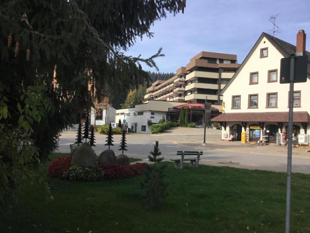Apartment 365 Mit Sauna, Schwimmbad Und Fitness Schönwald Luaran gambar